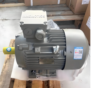 Motor Asíncrono Trifásico de la Serie Innomotics de 400 V, 30 kW, 110 kW, 132 kW, Motor de Inducción de Corriente Alterna para Compresor de Aire - Product Image 6