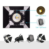 200W LED Cob Blinder Lumière Blanc Chaud/Blanc Froid 200W PAR64 Projection Lumières pour Parcs À Thème