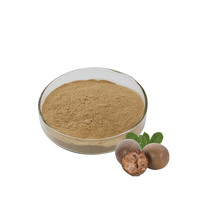 Poudre d'extrait de Luo Han Guo pure et naturelle pour la poudre de fruit de moine doux