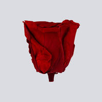 Vente en gros de belles têtes de roses de haute qualité pour conserver de grandes roses fleurs conservées Cadeau de Saint Valentin