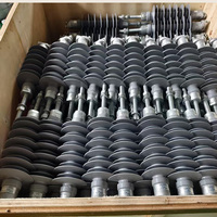 Isolateur composite de type broche pour extérieur 11kV 33kV pour les réseaux de distribution d'énergie haute tension et l'installation sur poteaux