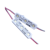 Modules LED bleus étanches IP67 de haute qualité, 5 ans de garantie, GOQ 6615, 12V 1.2W 2700K, blanc chaud doux, 3 LED, pour boîte lumineuse publicitaire