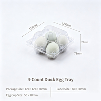 Vente en gros de boîtes à œufs en plastique PET transparentes, 4 unités, jetables, grande taille, avec couvercle transparent, épaisseur 0,3 mm, logo personnalisé pour les œufs de canard