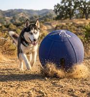 Ballon de dressage robuste en nylon 1680D avec housse anti-déchirure, jouet interactif d'extérieur pour l'exercice