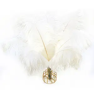 Wholesale Wedding Stage Decoration Many Size Soft White Ostrich Feathers