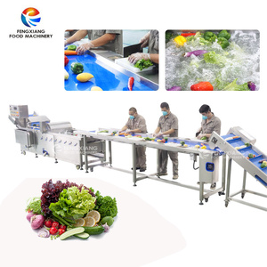 Línea de Producción Automática de Vegetales Personalizada Fengxiang, Máquina para Lavar, Pelar, Cortar, Clasificar y Empacar Vegetales - Product Image 2