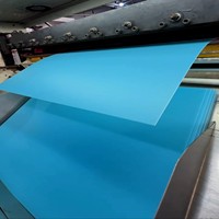 Panneaux en plastique rigides extrudés sur mesure en PP, PET, PVC, bleu ciel, pour la fabrication de plateaux industriels
