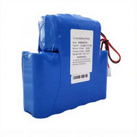 Pack de batteries Li-ion ICR18650-4S4P 14,8V 10400mAh pour Freedom Par Hex-4 et Smartbat Prolights Tribe 14,8V 10,4AH