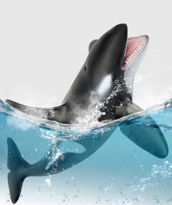 Simulazione PVC giocattolo animale marino educazione dei bambini vita marina animale in morbido cotone delfino tartaruga marina grande squalo bianco modello - Product Image 6