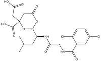 Extrait de soja fermenté Nattiase Poudre d'extrait de natto biologique Poudre d'enzymes Nattokinase