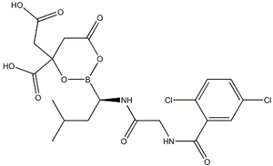 Nattiase Gefermenteerde Soja <span class=keywords><strong>Extract</strong></span> Organische <span class=keywords><strong>Natto</strong></span> <span class=keywords><strong>Extract</strong></span> Poeder Nattokinase Enzymen Poeder - Product Image 3