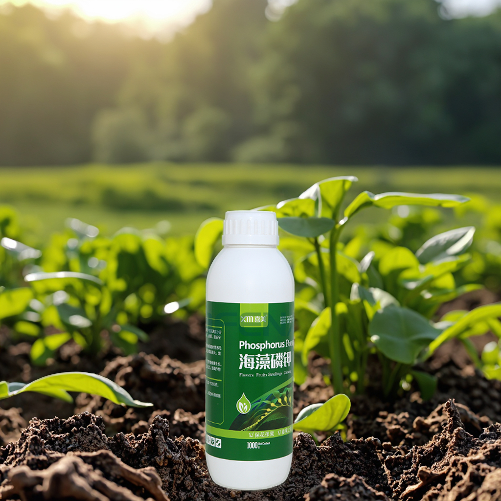 Seaweed PK Liquid Fertilizer 0-350-450 OEM Wholesale