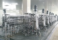 Bioréacteur à échelle pilote ligne de production d'acide citrique machine à levure réservoir standard fermenteur bioréacteur 100L