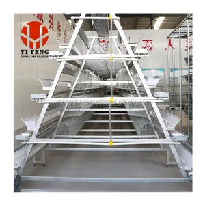Hot Dip Galvanize Steel Big A Type Poultry Farm Equipment Battery Layer Automatic Chicken Cage With Egg Laying System