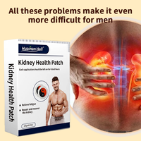 Patch de revitalisation des reins pour hommes, 14 patchs par paquet, soutien de la prostate, soulage la fatigue