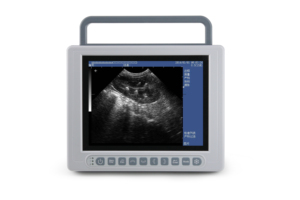 Échographe vétérinaire compact haute performance Kaixin pour diagnostic abdominal et reproductif - Product Image 5