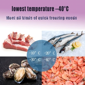 Yourtime 5 khay siêu thị thiết bị tủ lạnh tủ đông cho Gelato nhanh chóng làm mát thương mại Blast tủ đông - Product Image 2