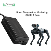 Chargeur de batterie intelligent Fuyuang personnalisé 60W-400W pour chiens robots intelligents