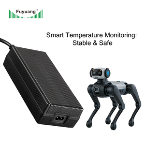 <span class=keywords><strong>Chargeur</strong></span> de <span class=keywords><strong>batterie</strong></span> intelligent Fuyuang personnalisé 60W-400W pour chiens robots intelligents - Product Image 1