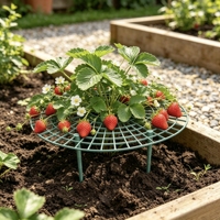 Lot de 5 supports ronds pour plantes de fraises avec 4 pieds robustes, en plastique réutilisable, durables, pour la protection extérieure et domestique contre la moisissure et la pourriture