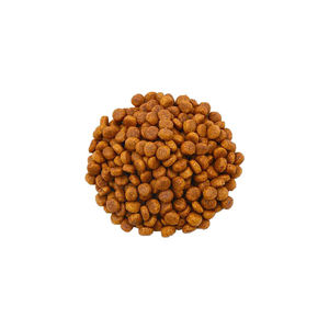Alimentation nutritionnelle sans céréales et riche en protéines pour chiens et chats - Croquettes cuites à basse température à forte teneur en viande pour la santé digestive, idéales pour la fabrication OEM personnalisée - Product Image 1