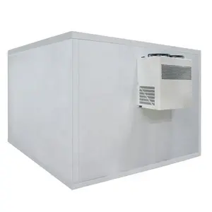 Mini compresor monobloque para caminar, unidad de condensación, almacenamiento de habitación fría, pequeño