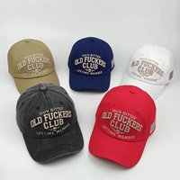 Casquette de baseball rétro vintage de luxe sportive en sergé Dobby brodée en 3D motif léopard avec visière et lettres, style Dad Hat