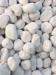 גינון גן שלג לבן פבל אבן