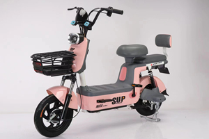 Bicicleta de Montaña Eléctrica en Oferta, 48V, 14 Pulgadas, con Batería de 20AH y Motor de 350W/500W, Modelo XY-DDC10 - Product Image 3
