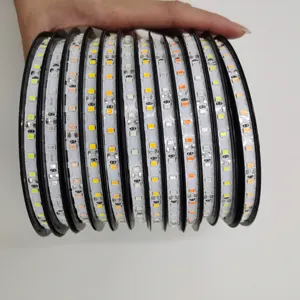 10m A Roll DC12V/5V SMD2835 S Shape LED Strip For DIY The LED Neon Sign