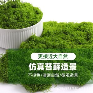 Musgo Artificial Verde, Planta Simulada, Decoración de Paisaje en Miniatura, Césped Artificial, Bonsái en Maceta, Adorno de Superficie, Manualidades DIY - Product Image 1
