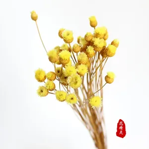 Branches brésiliennes, fleurs séchées, petites fleurs sauvages, arrangements floraux, décoration intérieure, fleurs séchées - Product Image 5