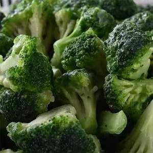Brocoli surgelé IQF biologique halal <span class=keywords><strong>de</strong></span> serre, prêt à consommer, le plus vendu, vente en gros Shandong - Product Image 5
