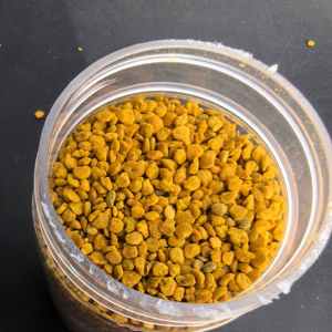 Pólen de Abeja de Alta Calidad al por Mayor, Pólen de Abeja Chino a Granel, Pólen de Abeja Nuevo, Fresco y Puro - Product Image 3