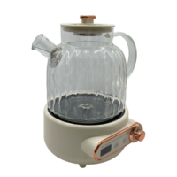 Bouilloire électrique multifonction 1L 450W avec contrôle de la température |   Bouilloire en verre pour faire bouillir, faire mijoter, infuser du thé aux fleurs, du gingembre, du ginseng