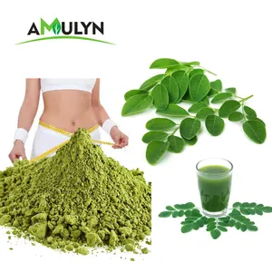 AMULYN venta al por mayor de Moringa polvo de extracto de hoja de Moringa Oleifera polvo de hojas