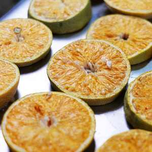 小型家庭用4kg真空業務用フリーズドライヤー、アイスクリーム、肉、食品凍結乾燥機販売中 - Product Image 5