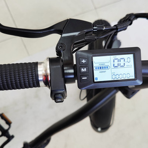 中国工厂批发铝合金电动自行车250W/500W/1000W电机20英寸宽胎折叠电动自行车避震叉碟刹 - Product Image 6