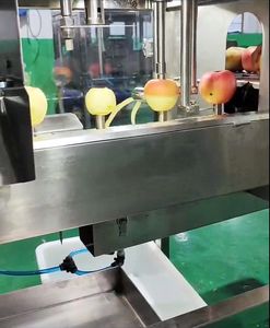 Coupe-pommes, trancheuse, éplucheuse, dénoyauteuse, machine à éplucher et à trancher les mangues, machine à retirer le noyau des poires - Product Image 3