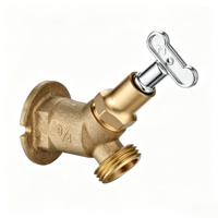 Adaptateur de raccordement d'eau en laiton OEM pour robinet de cuisine, raccord de tuyau d'arrosage de jardin, vanne de remplacement pour raccord de robinet d'irrigation