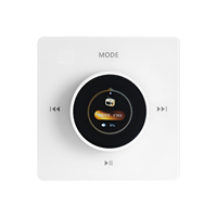Mini amplificateur stéréo mural intelligent à écran tactile, transmission sans fil HiFi, amplificateur de puissance stéréo mural, amplificateur de son mural, musique à distance