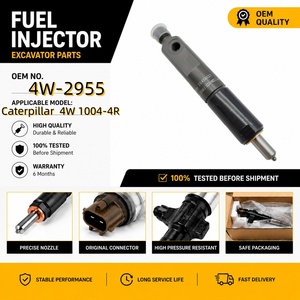 Injecteur de carburant 4W-2955 2645A023 2645K002 pour excavatrices Caterpillar séries 4W 1004-4R 1006-6T 416 426 428 436 <span class=keywords><strong>438</strong></span> - Product Image 1