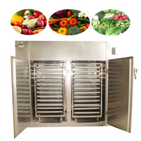 Multifunctionele industriële 304 roestvrijstalen dienbladdroger fruitdehydrator commercieel gebruik 9KW motor machine te koop