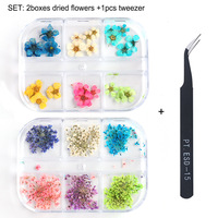 6 grille naturelle vraie fleur sèche 3d bricolage fleurs séchées charme pressé UV gel décoration manucure ongles fleurs