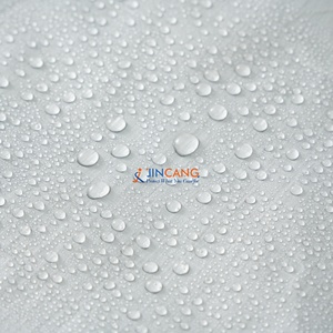 Bâche en PE imperméable pour jardin, abri <span class=keywords><strong>de</strong></span> plantes, bâche <span class=keywords><strong>de</strong></span> <span class=keywords><strong>protection</strong></span> pour bateau, <span class=keywords><strong>voiture</strong></span>, camion, abri pour animaux domestiques, chenil, housse <span class=keywords><strong>de</strong></span> pluie - Product Image 3