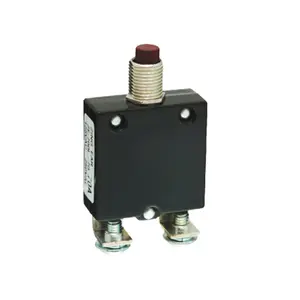 Laser ouvido fabricação elétrica ac dc mini interruptor de disjuntor miniatura