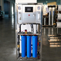 Petit purificateur d'eau commercial personnalisé équipement d'osmose inverse 0.25TPH 500LPH RO système de purification d'eau potable