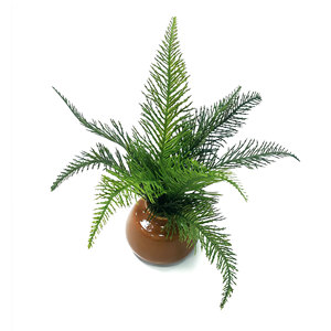 Maceta de Cerámica Premium con Hojas de <span class=keywords><strong>Ciprés</strong></span> <span class=keywords><strong>Llorón</strong></span> Chino y Tierra Negra Rica en Nutrientes para Bonsáis de Interior y Plantas Artificiales - Product Image 2