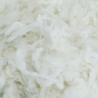 Vente directe usine : Laine carbonisée haute pureté, 100 % matière végétale, sans stérilisation, toucher doux pour la fabrication de fils et le textile