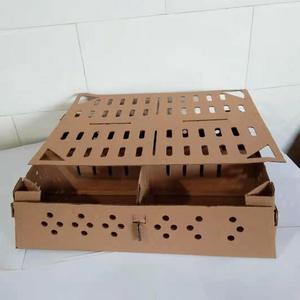 Caja de Envío para Aves Vivas (Palomas) de Cartón Corrugado, Diseño Personalizado, 100 Unidades, con Relieve y Materiales Reciclados - Product Image 2